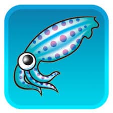 Squid Proxy